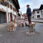 1.Training-Leinenführigkeit